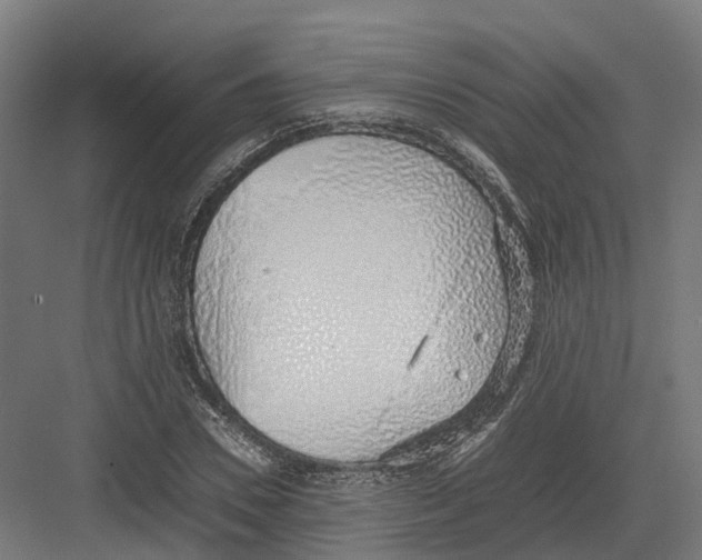 X0000082140930200702162139