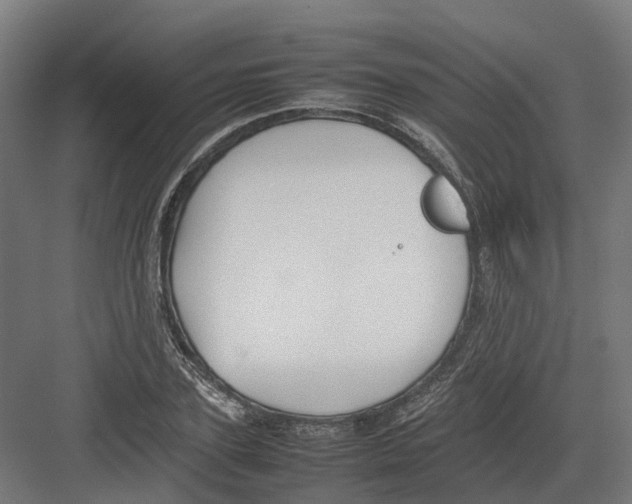 X0000082140931200702162139