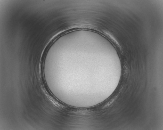 X0000082140932200702162139