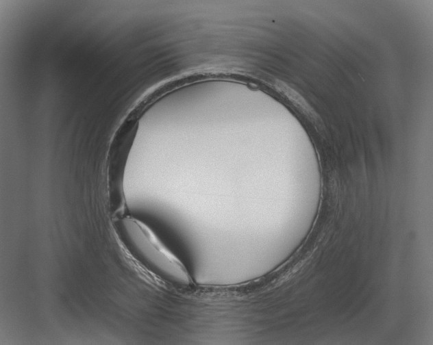 X0000082140934200702162139