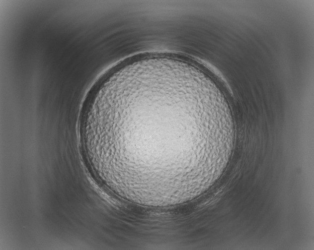 X0000082140935200702162139