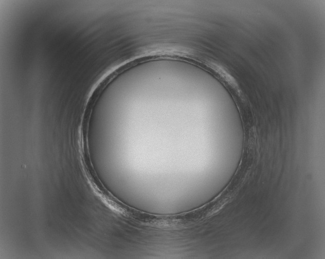 X0000082140936200702162139