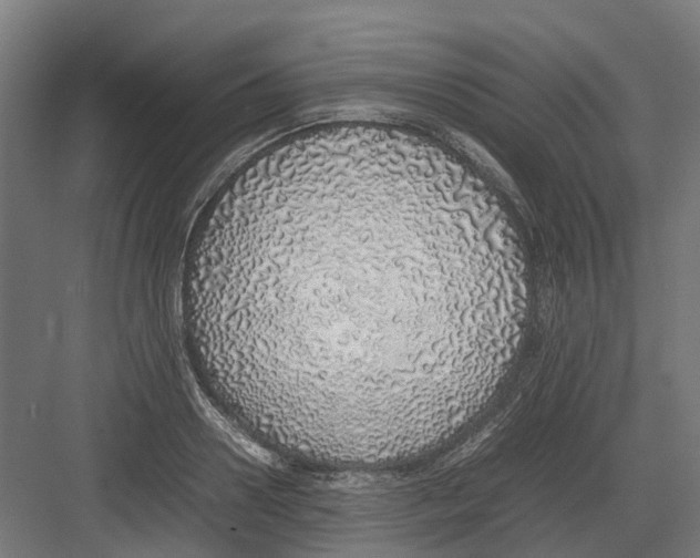 X0000082140938200702162139