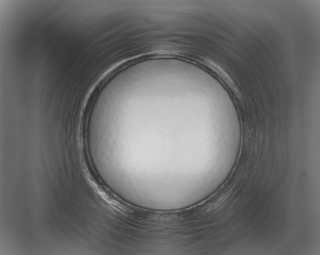 X0000082140939200702162139