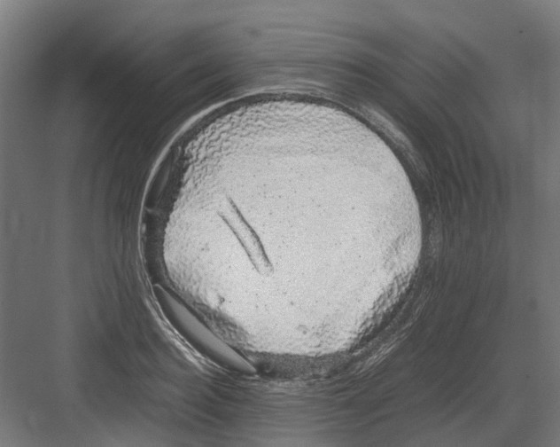 X0000082140940200702162139