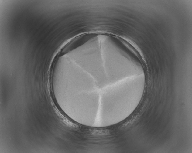 X0000082140941200702162139