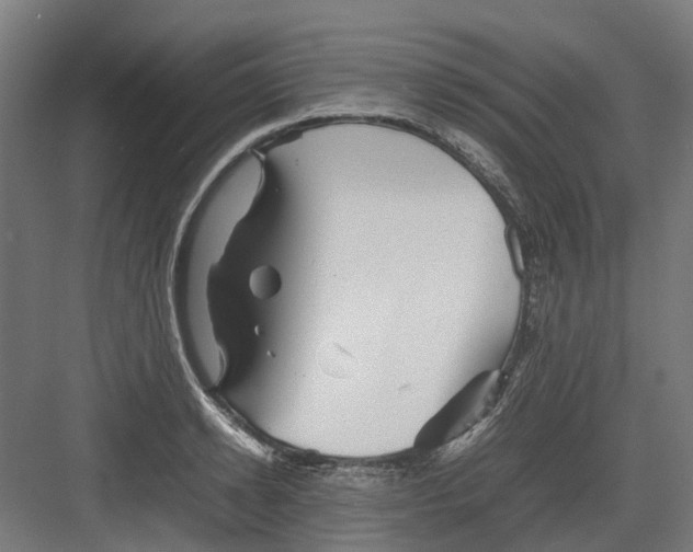 X0000082140942200702162139