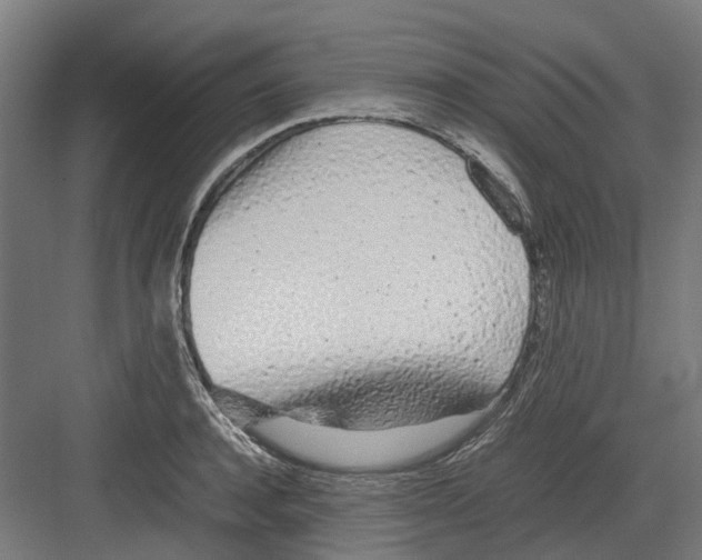 X0000082140944200702162139