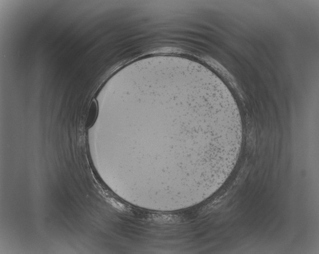 X0000082140945200702162139