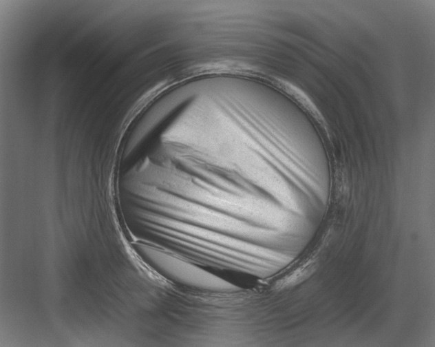 X0000082140946200702162139