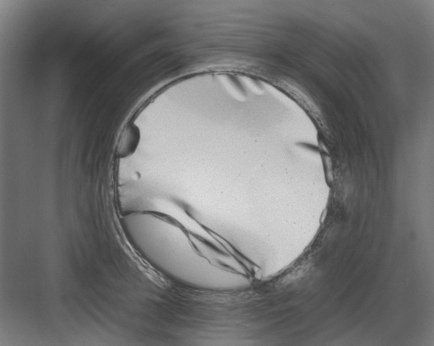 X0000082140948200702162139