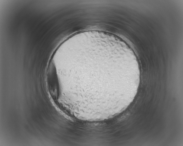 X0000082140949200702162139