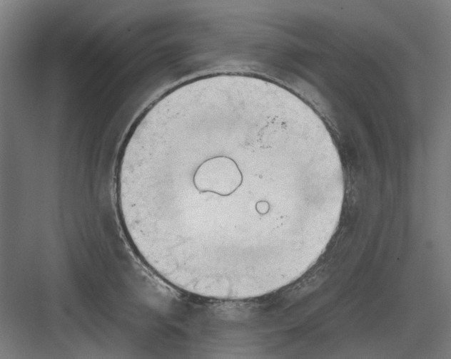 X0000082140950200702162139