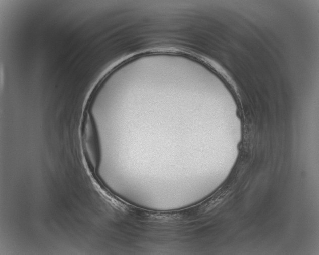 X0000082140951200702162139