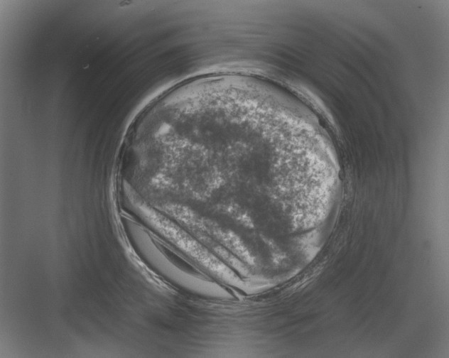 X0000082140952200702162139