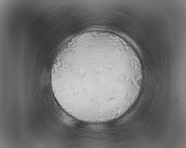 X0000082140953200702162139