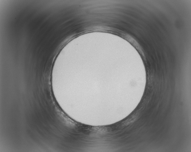 X0000082140954200702162139