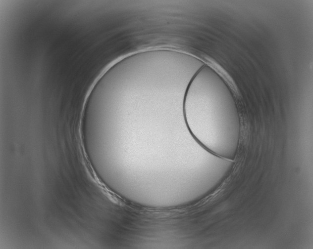 X0000082140956200702162139