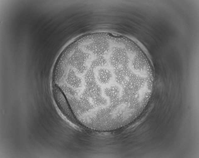 X0000082140957200702162139