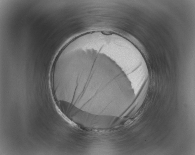 X0000082140958200702162139