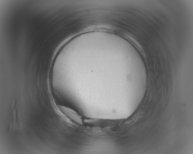 X0000082140960200702162139