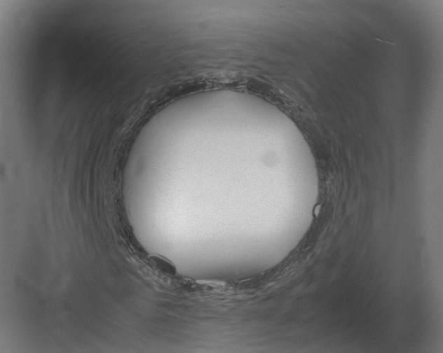 X0000082140961200702162138