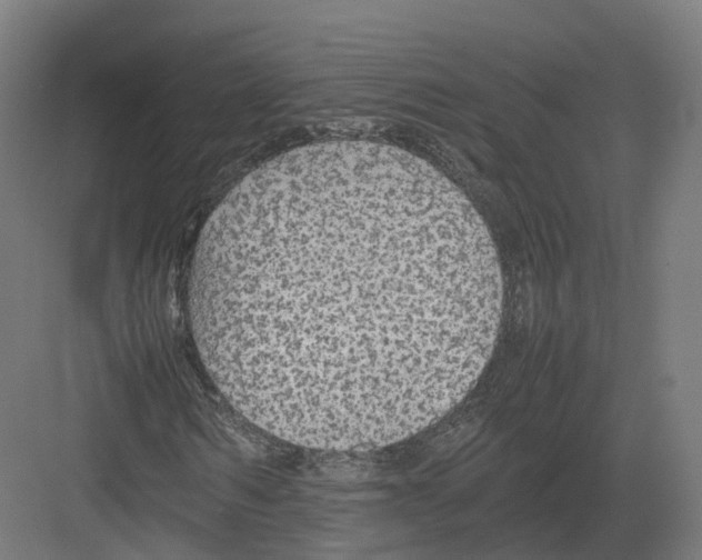 X0000082140962200702162138