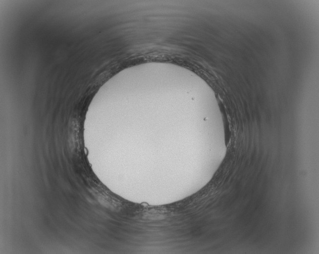 X0000082140964200702162138