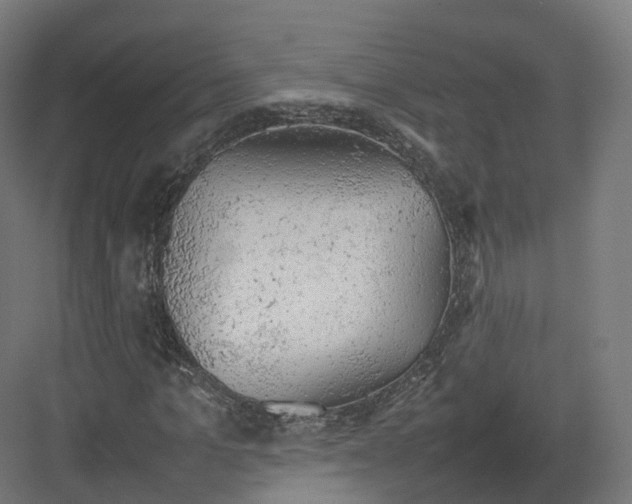 X0000082140965200702162138