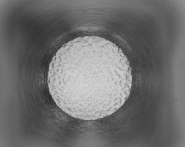 X0000082140966200702162138