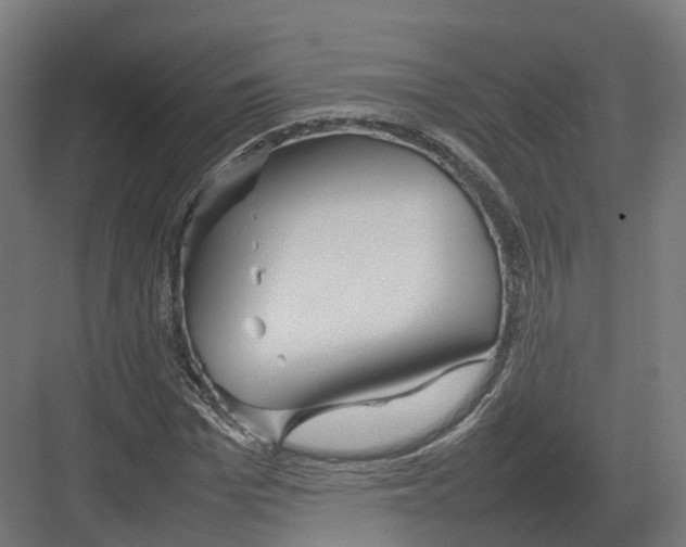 X0000082140969200702162138