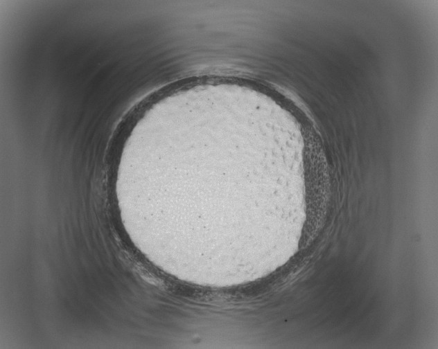 X0000082140971200702162138