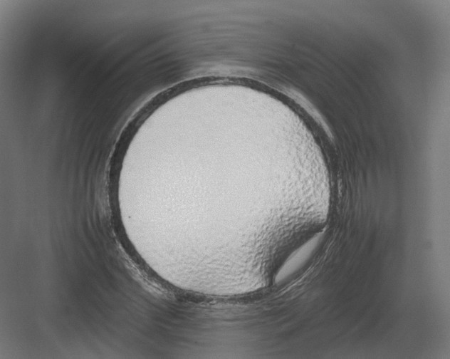 X0000082140972200702162138