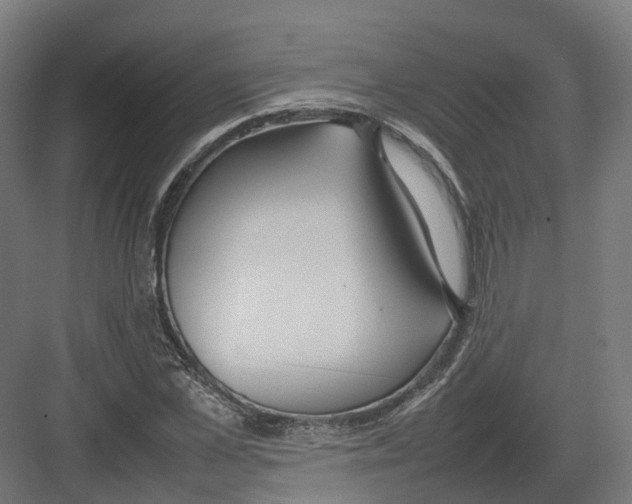 X0000082140973200702162138