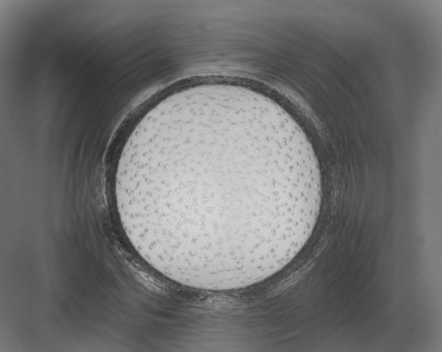 X0000082140974200702162138