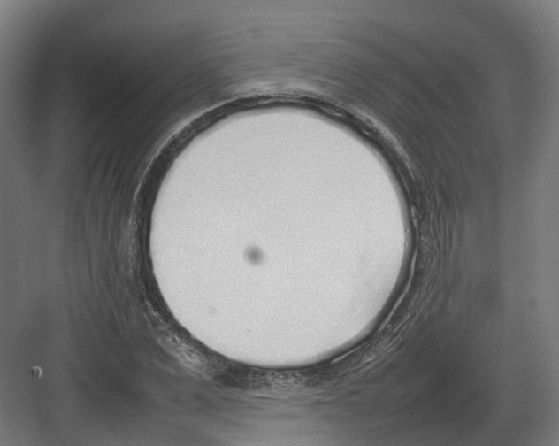 X0000082140975200702162138