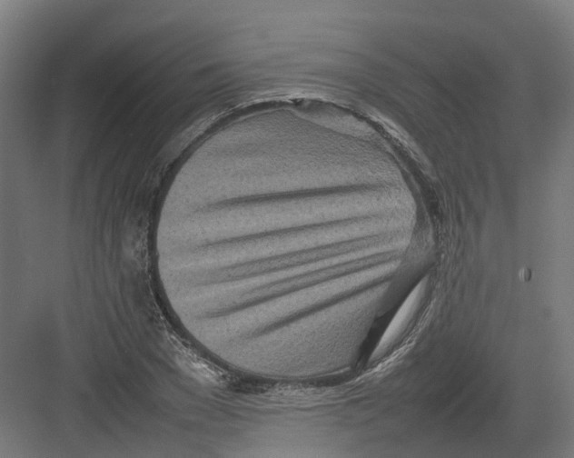 X0000082140977200702162138