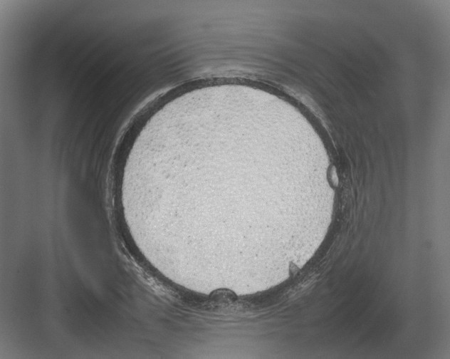 X0000082140979200702162138