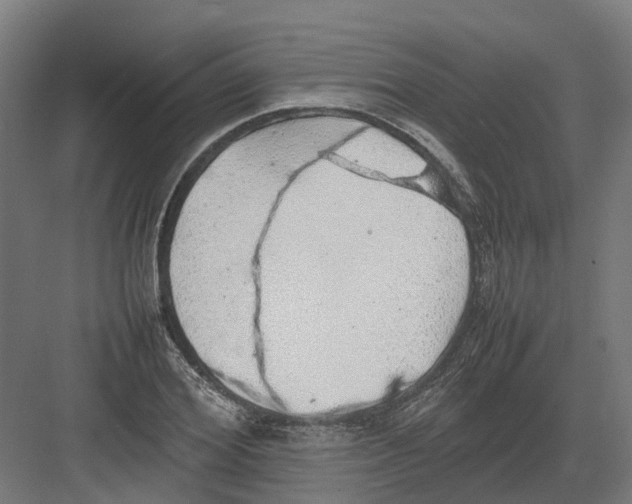 X0000082140980200702162138