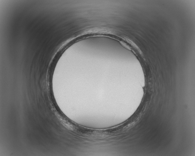 X0000082140981200702162138