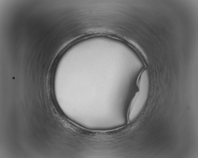 X0000082140983200702162138