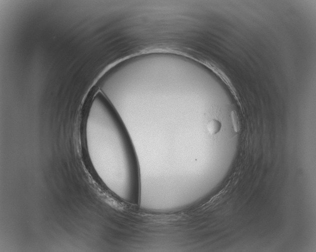 X0000082140984200702162138