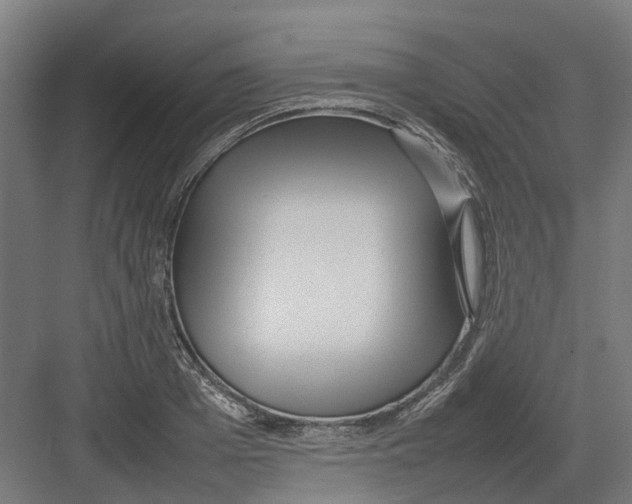 X0000082140985200702162138