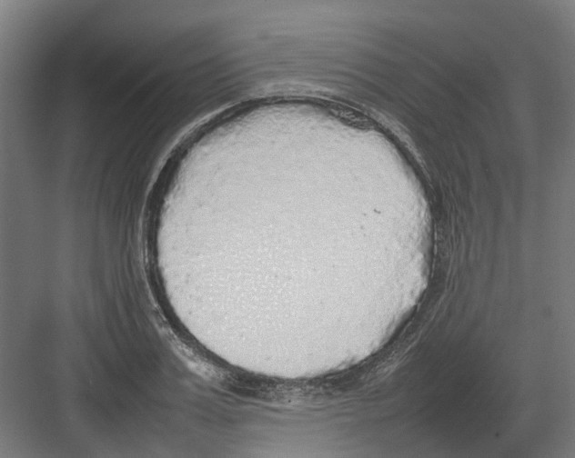 X0000082140987200702162138