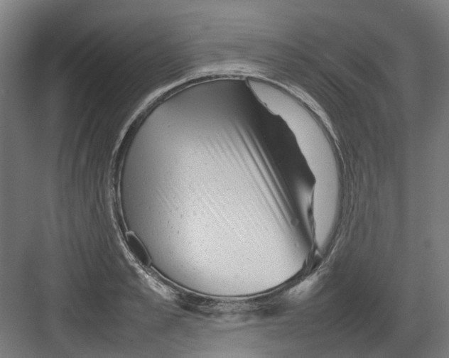 X0000082140989200702162138