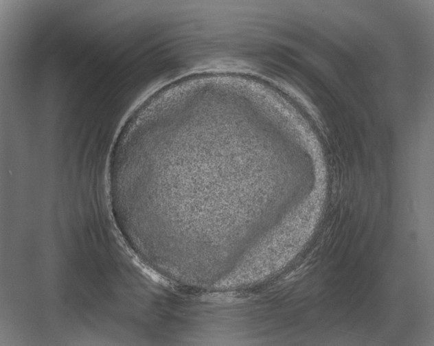 X0000082140990200702162138