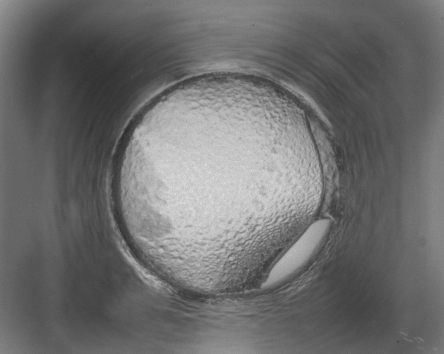 X0000082140991200702162138