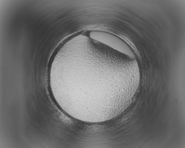 X0000082140992200702162138