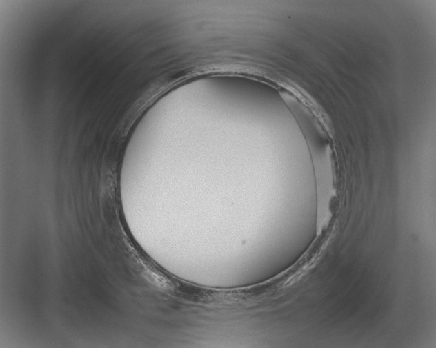 X0000082140993200702162138