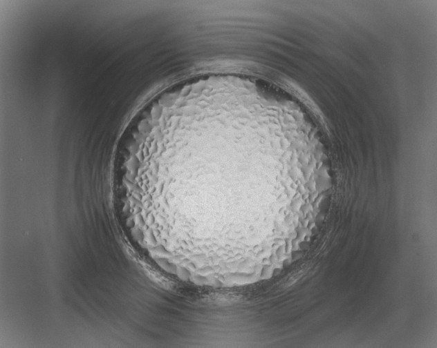 X0000082140994200702162138